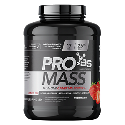 BS PRO Mass 5,2kg